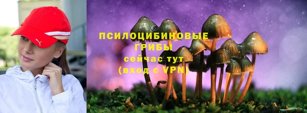 круглые Переславль-Залесский