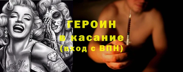 спиды Богородицк