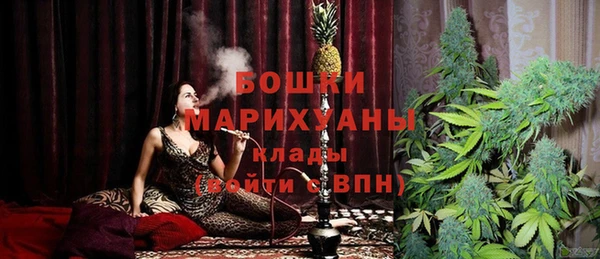 мдпв Богданович