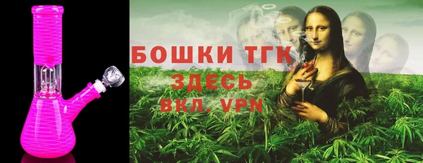 спиды Богородицк