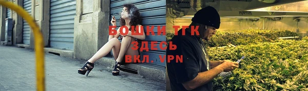мдпв Богданович