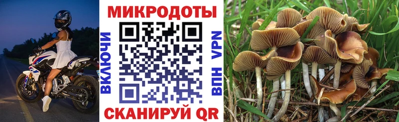 Галлюциногенные грибы MAGIC MUSHROOMS мега зеркало Киреевск